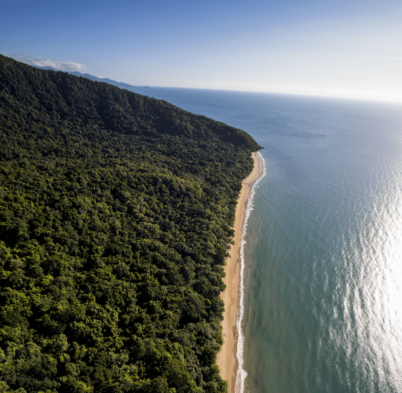 cape tribulation tourist information centre